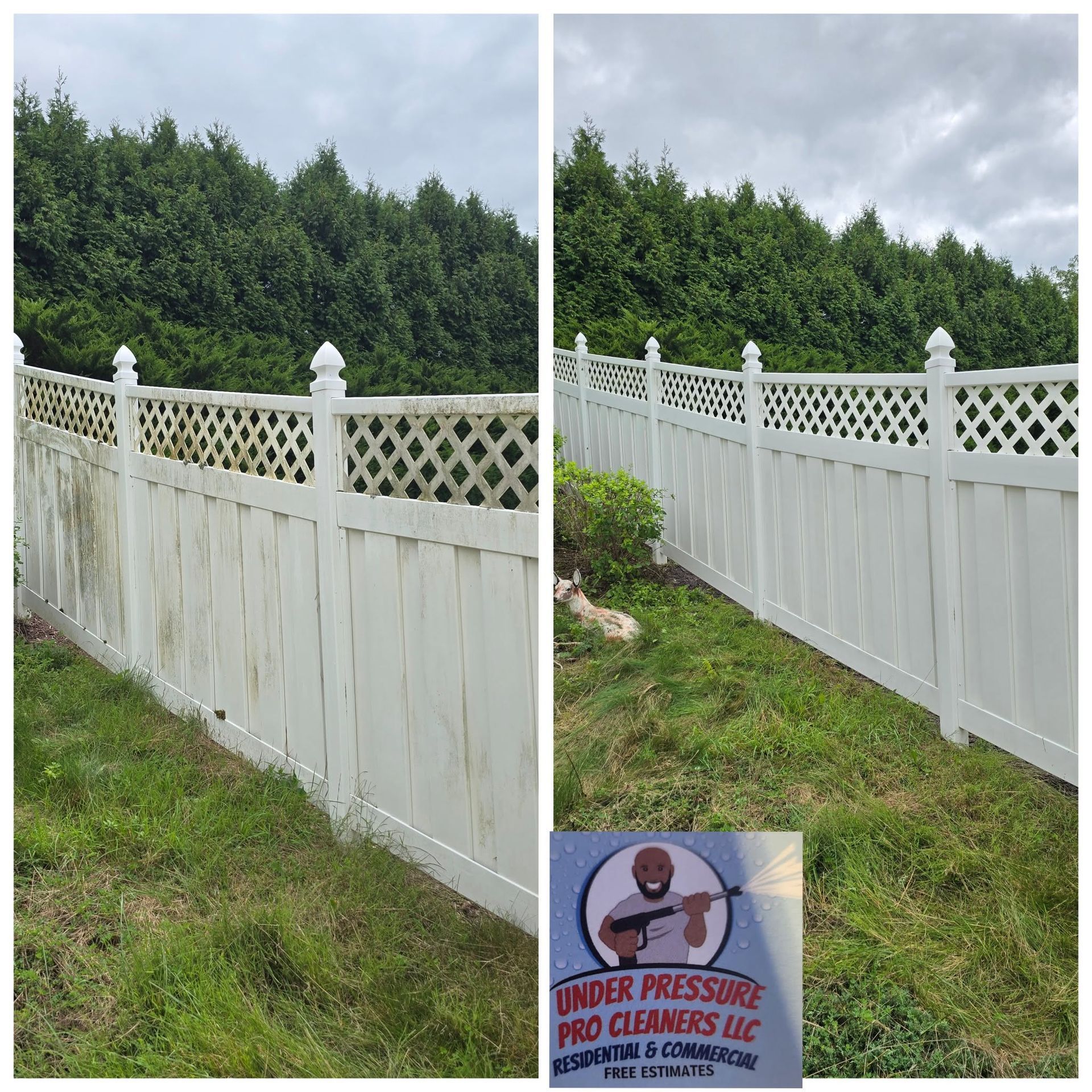 White vinyl fence with lattice top beside green grass and hedges under a cloudy sky.