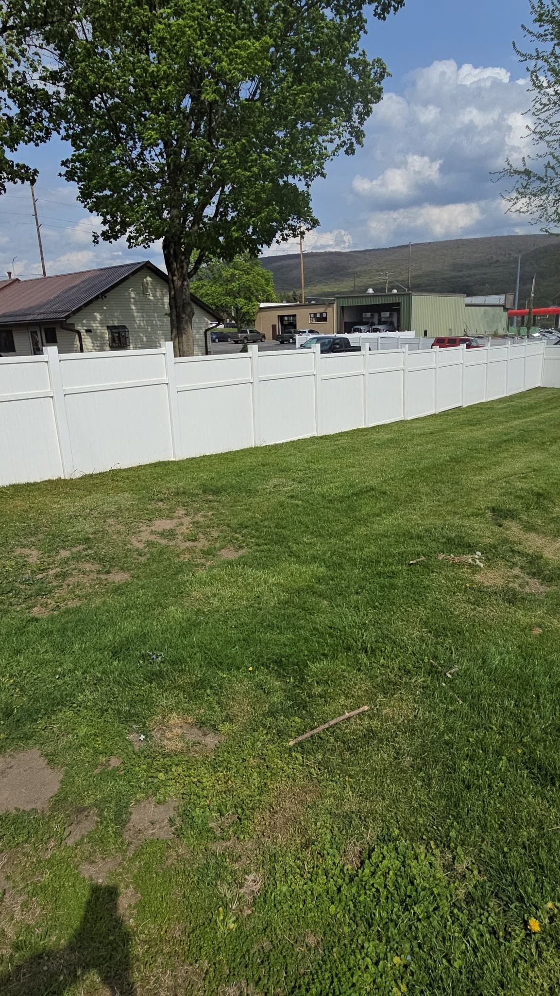 White fence along a grassy yard with houses, a large tree, and cloudy blue sky in the background