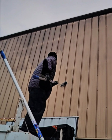 Person painting a tan metal building wall with a roller while standing on a ladder