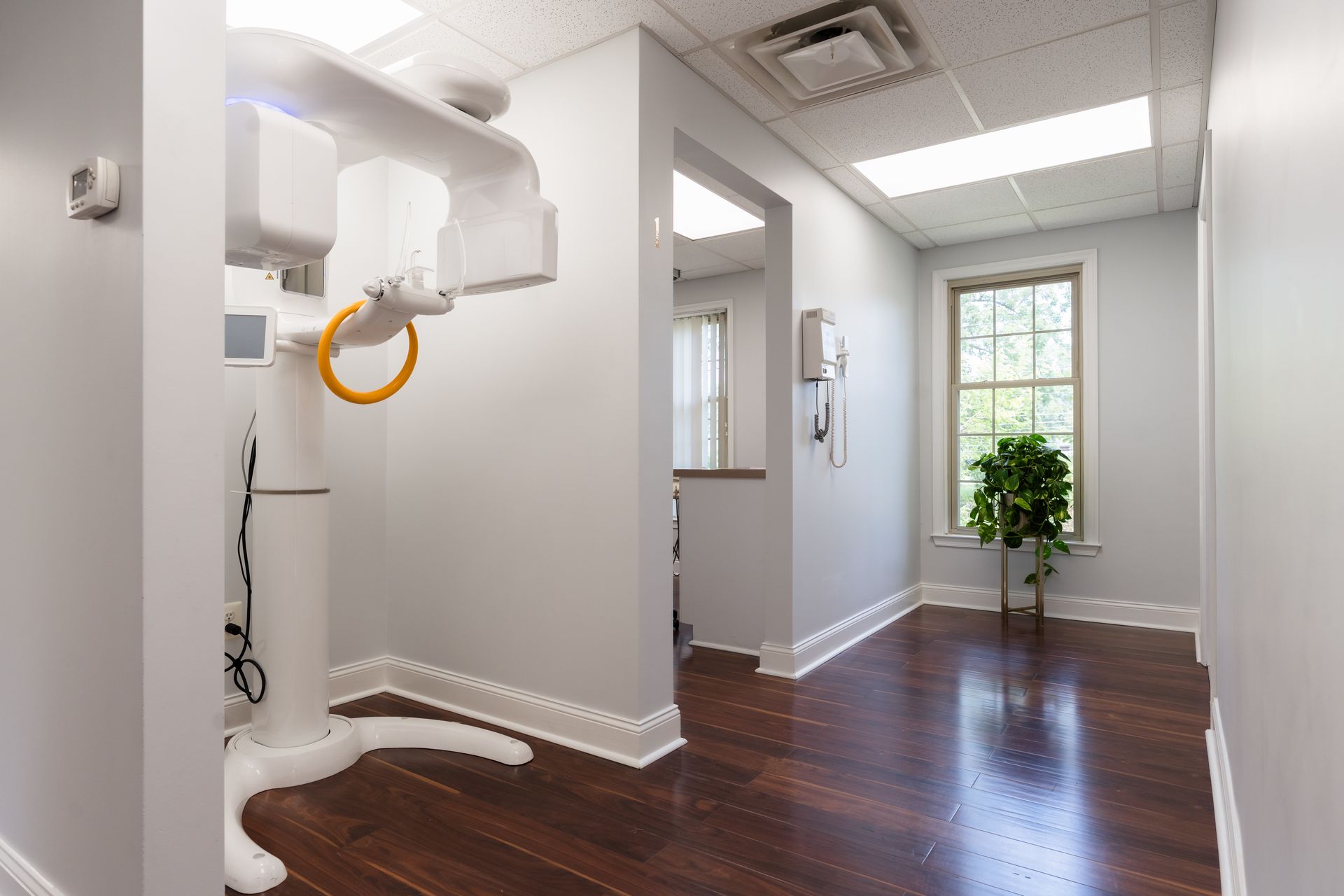 Dental office interior: X-ray machine, hallway with wood floors, natural light from a window, and a potted plant.