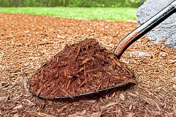 A shovel piled with brown mulch on a garden bed near a grassy edge.