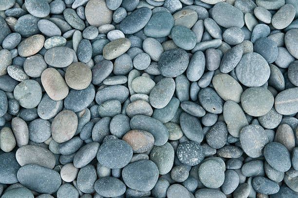 Smooth gray pebbles covering the ground, with rounded stones in blue-gray tones