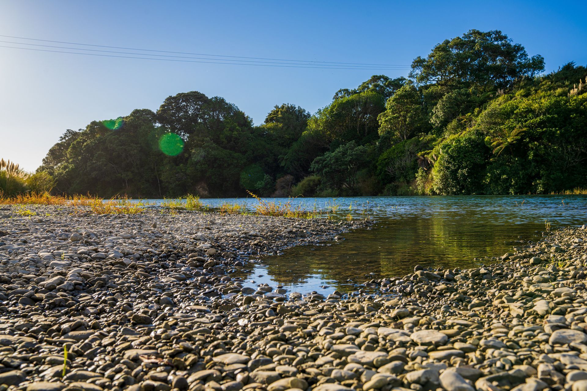 Rocky riverbank beside calm water with lush green trees under a clear blue sky