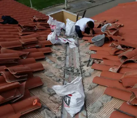 reparacion de tejados de tejas en alcorcon, madrid