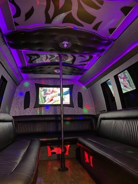 GoGo Party Bus Diamond