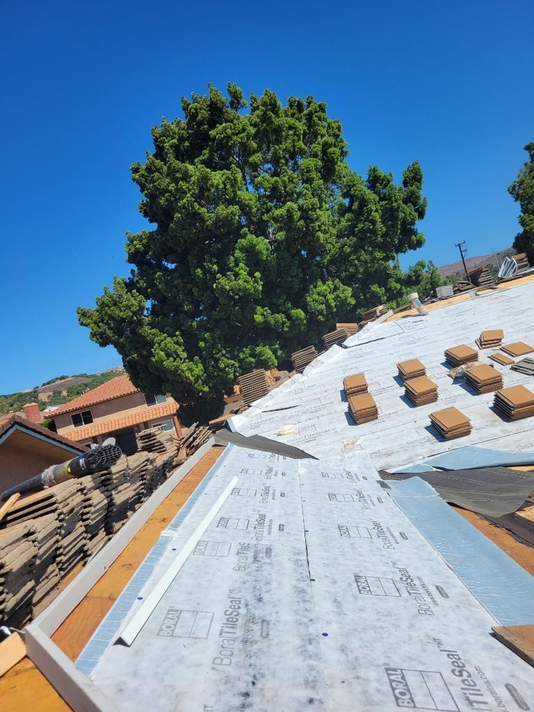 Rooftop under construction with white underlayment, wooden beams, and a large green tree against a blue sky