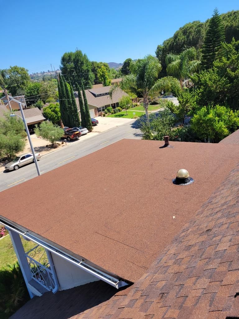 View from a rooftop over a sunny suburban street with green trees and houses
