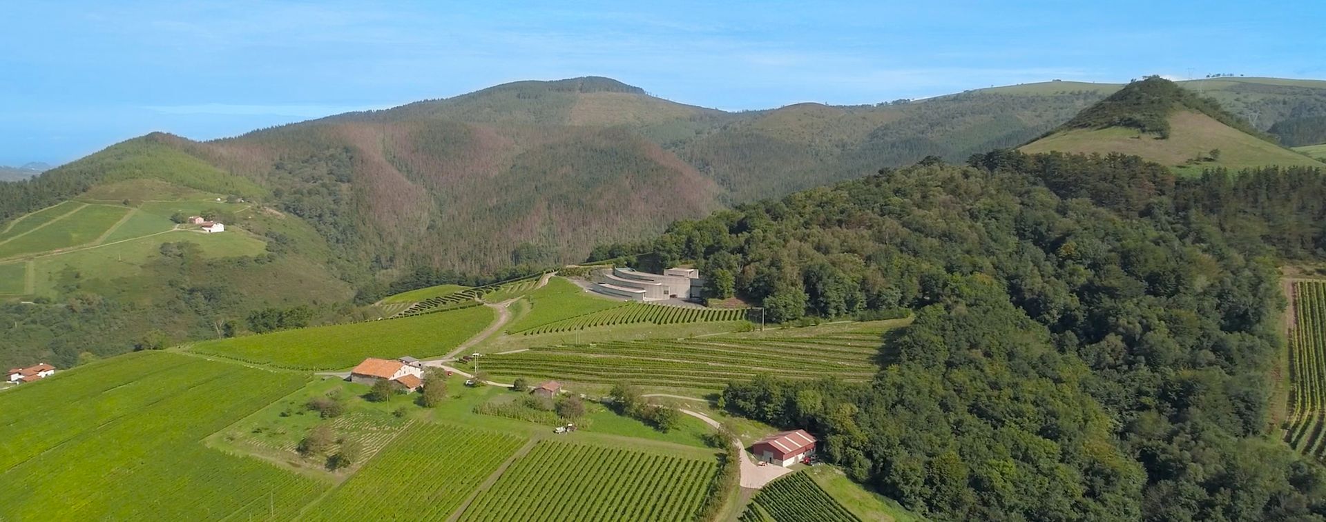 txakoli arguiñano