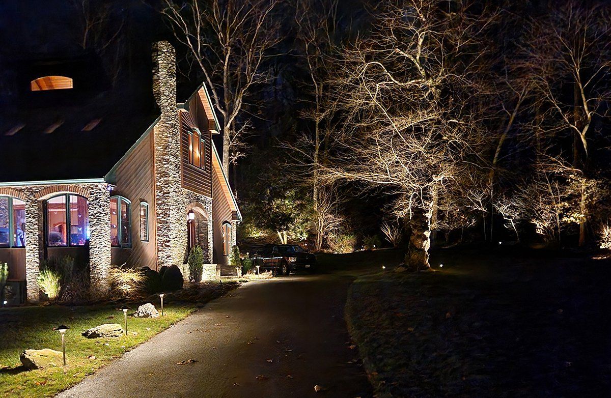 A house is lit up at night with christmas lights on the trees.