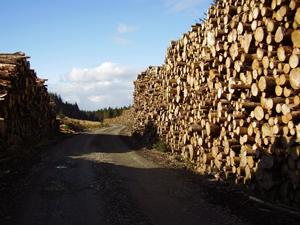 All neatly stacked