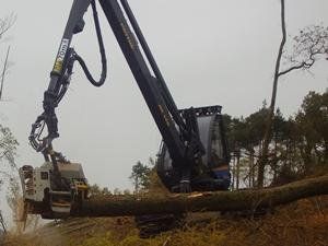Harvester in action