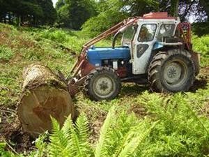 Lifting a big log . . . One . . . Two . . . Three  . . . Lift