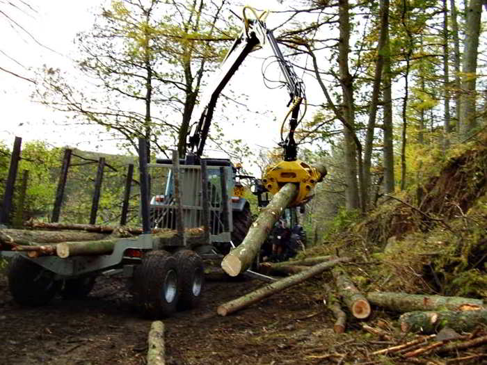 Loading the timber