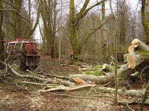 Skidding . . . ready and waiting