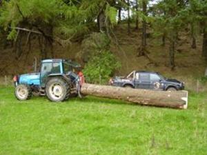 Skidding . . . two at a time . . .