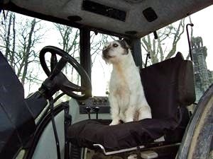They've left me in charge . . .