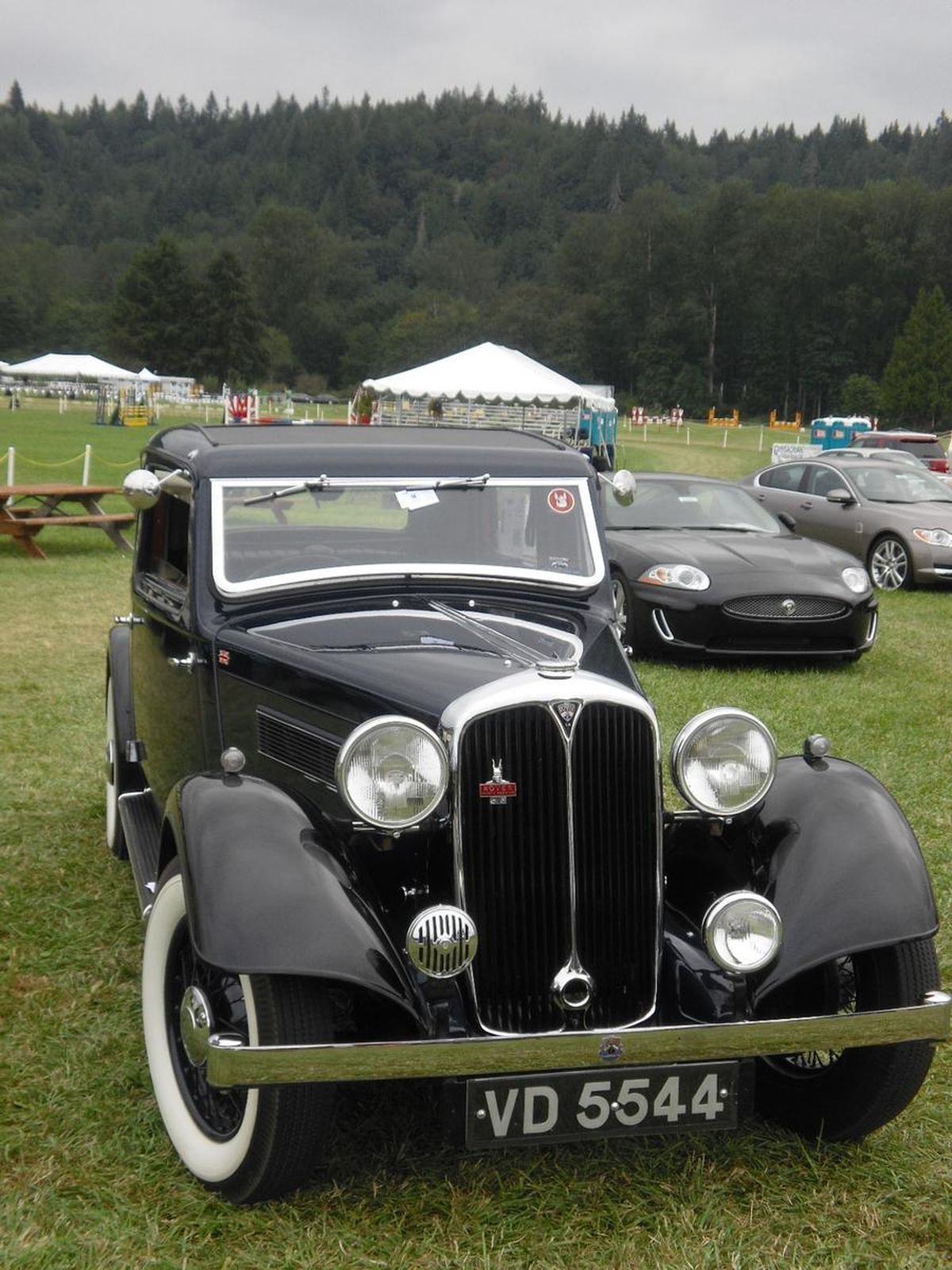 A black car with a license plate that says vd 55544 is parked in a grassy field.