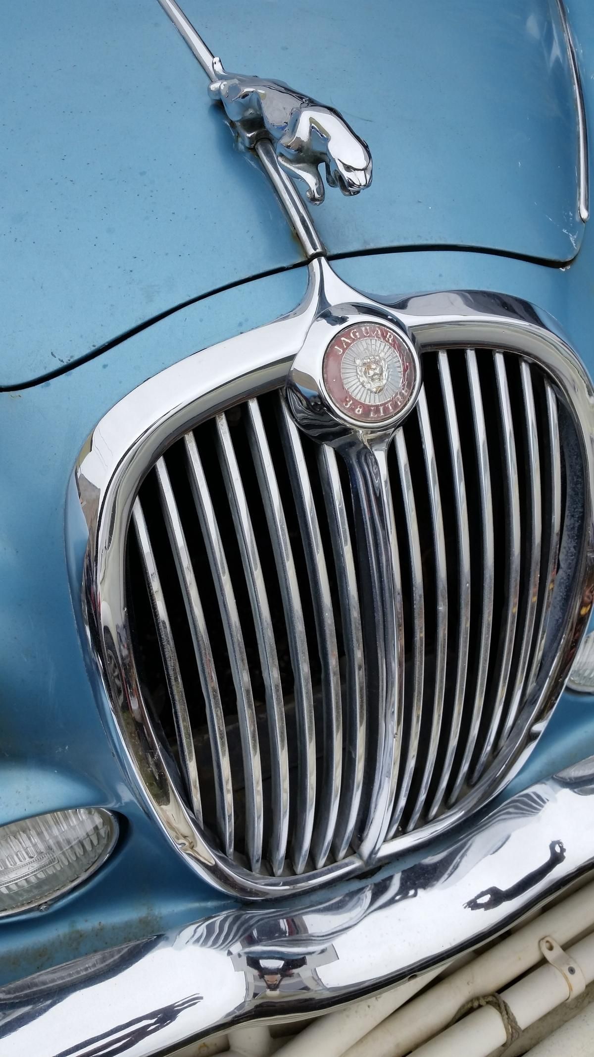 A close up of a jaguar car grille
