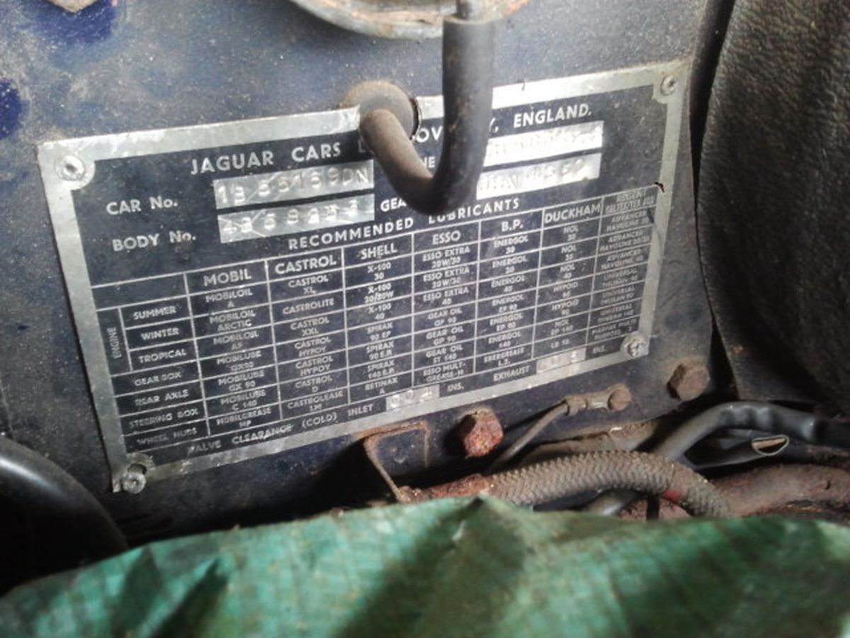 A close up of a jaguar car identification plate