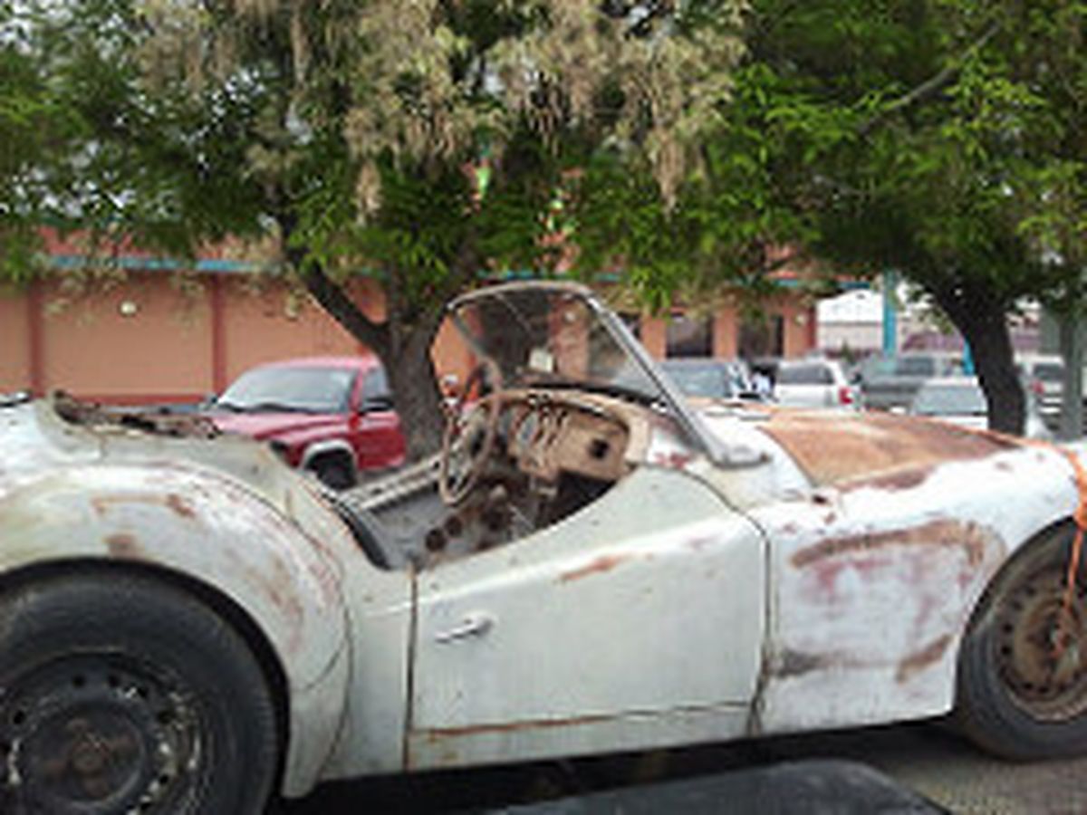 A white car is parked under a tree in a parking lot.
