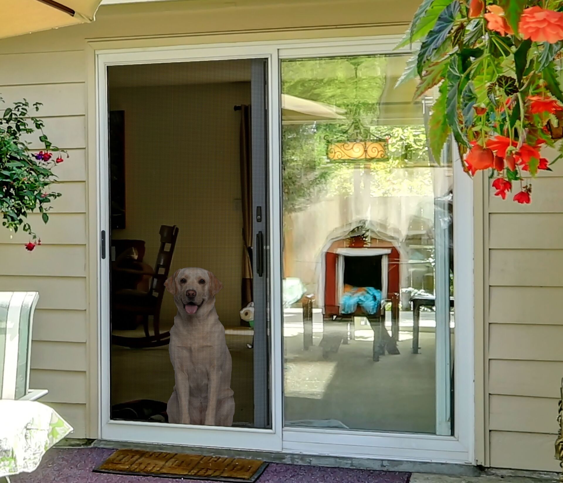 Doors Near Me