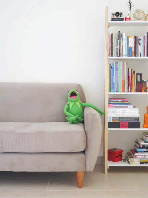 kermit the frog appreciating home