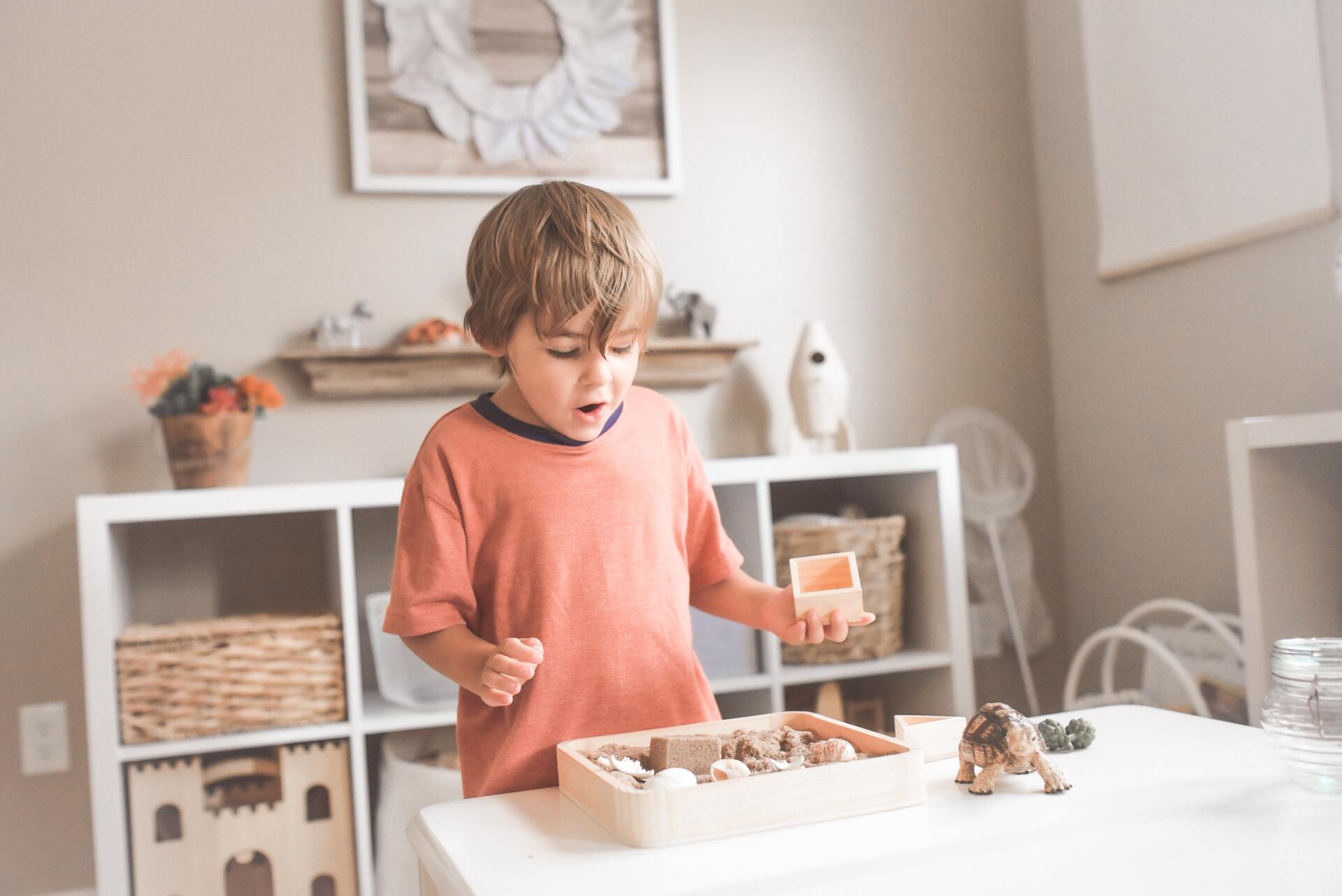 indoor plants help working form home