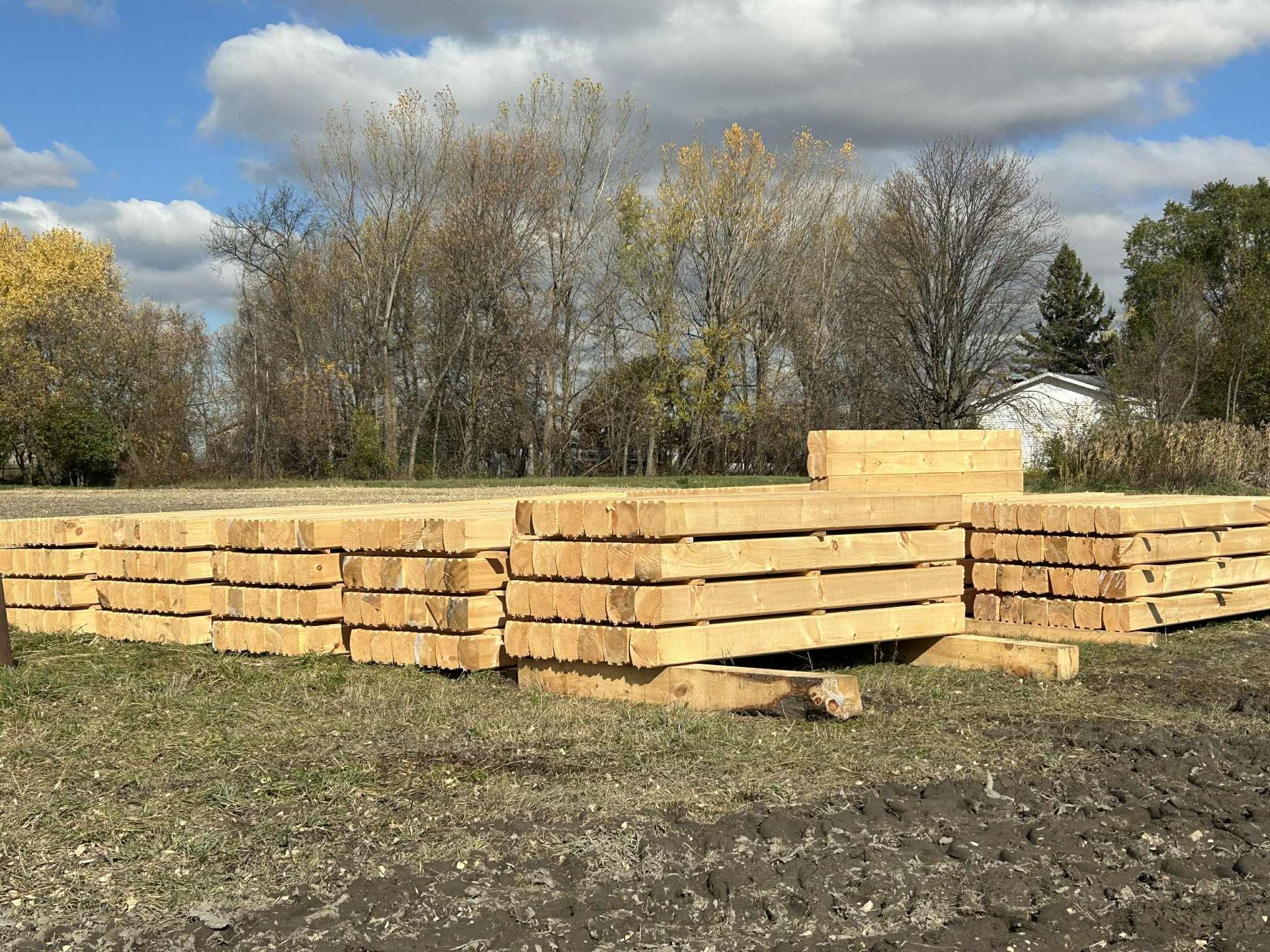 Des piles de poutres en bois sur un champ d'herbe, avec des arbres et un ciel bleu en arrière-plan.
