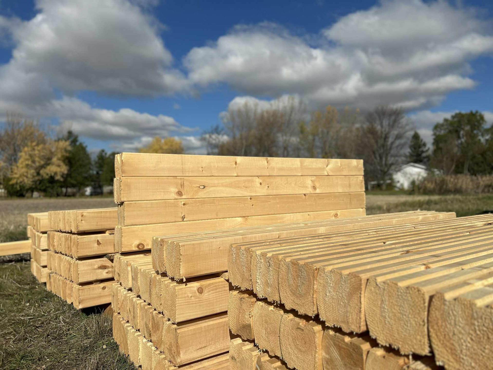 Des piles de bois fraîchement coupé, à l'extérieur, sous un ciel bleu parsemé de nuages blancs et duveteux.