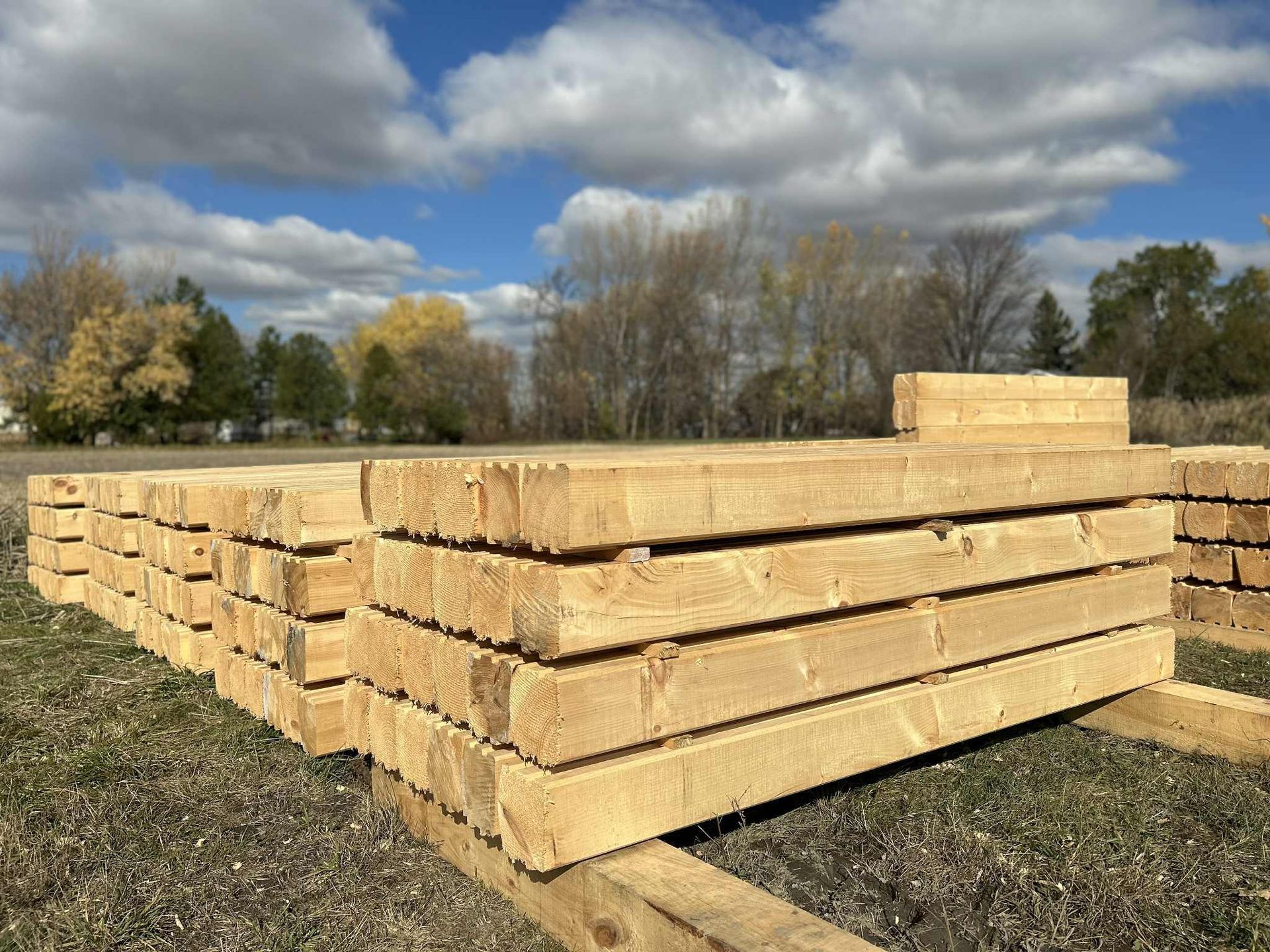 Des piles de bois fraîchement coupé à l'extérieur, sous un ciel bleu parsemé de nuages.