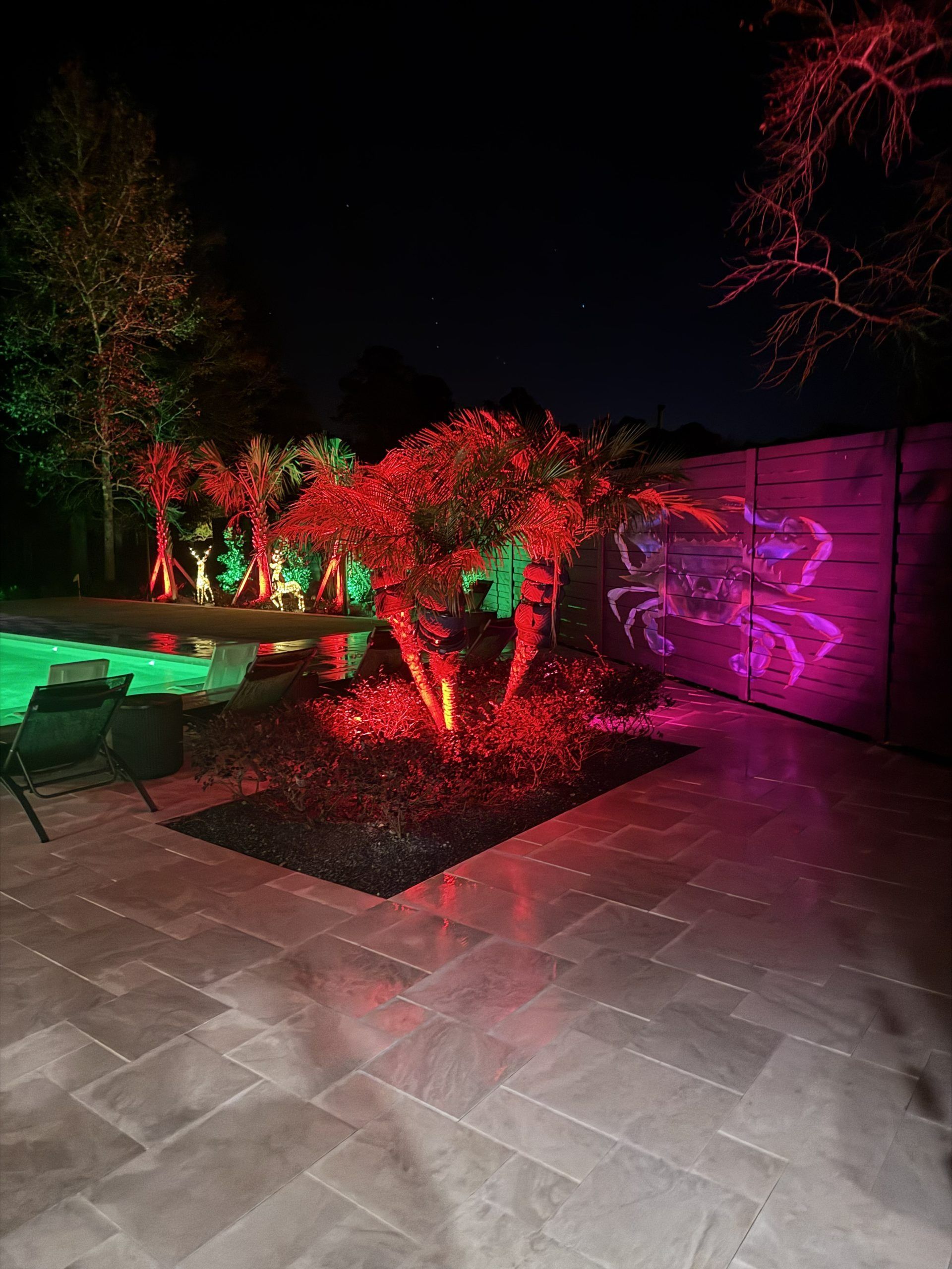 Nighttime patio with red and green-lit trees, a tiled walkway, and a purple-lit wall