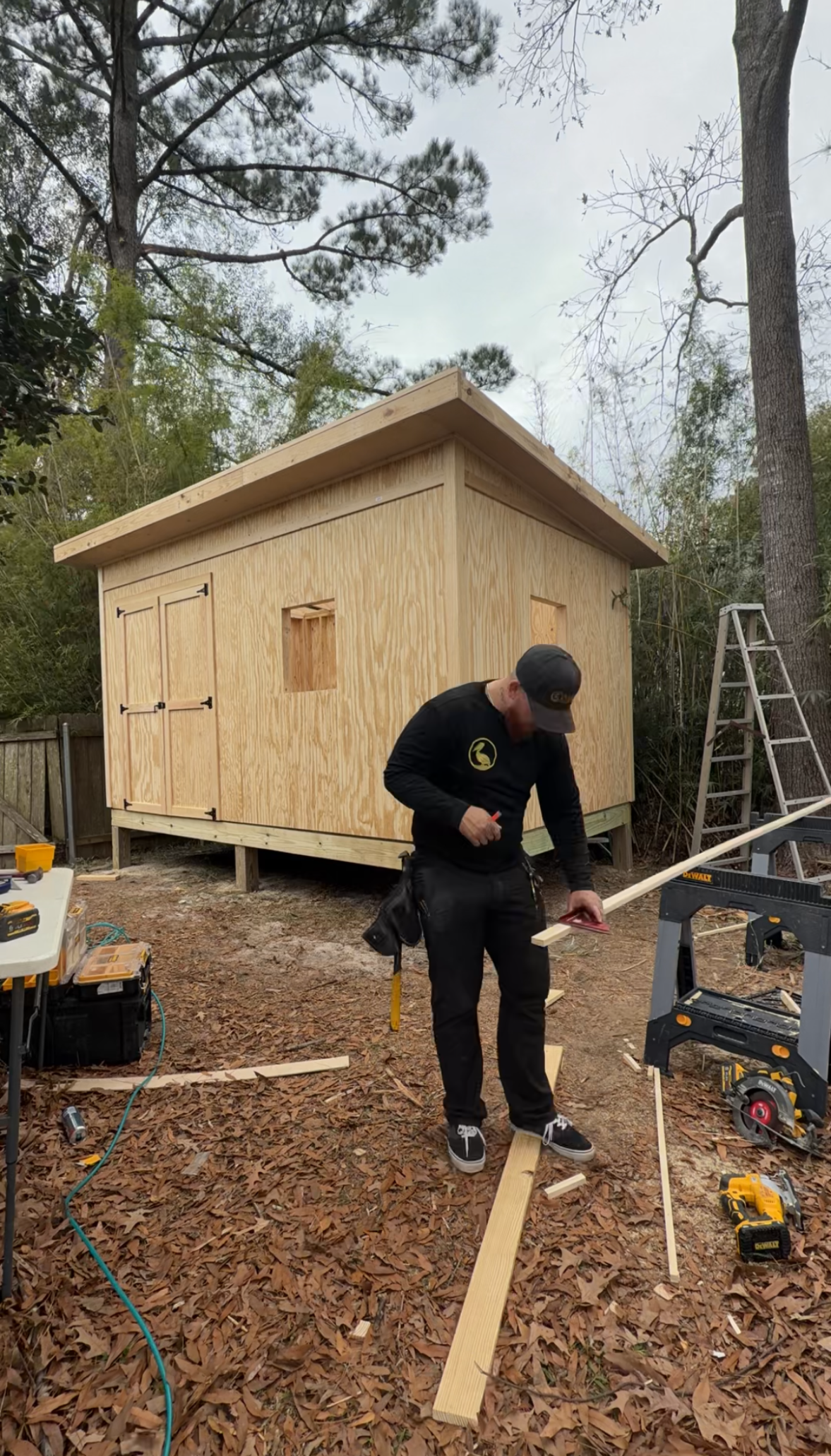 Person measuring beside a small unfinished wooden shed in a wooded yard