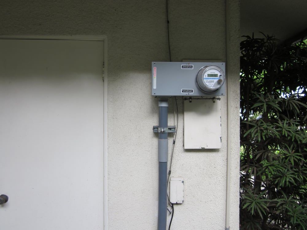 Outdoor electrical meter box mounted on a wall beside a closed door and leafy shrubs