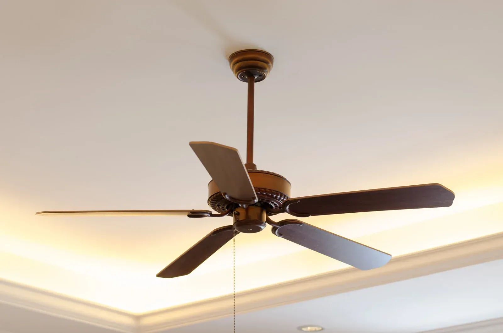 Ceiling fan with dark blades and a light fixture on a white ceiling