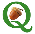 icona cooperativa la quercia