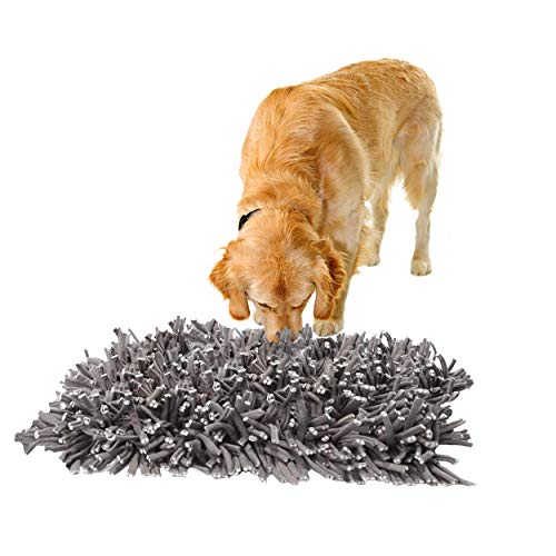Golden retriever sniffing a gray, shaggy mat.