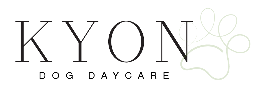 Logo for KYON Dog Daycare: Text