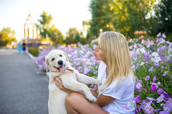 Blonde woman holding a yellow Labrador puppy next to purple flowers and a path.