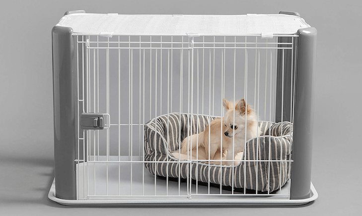 Small tan dog in a gray and white dog crate, resting on a striped bed.