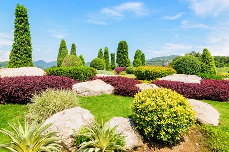 A garden filled with lots of plants and rocks on a sunny day.