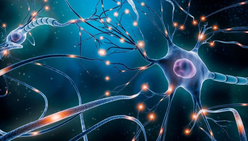 Riabilitazione neurologica