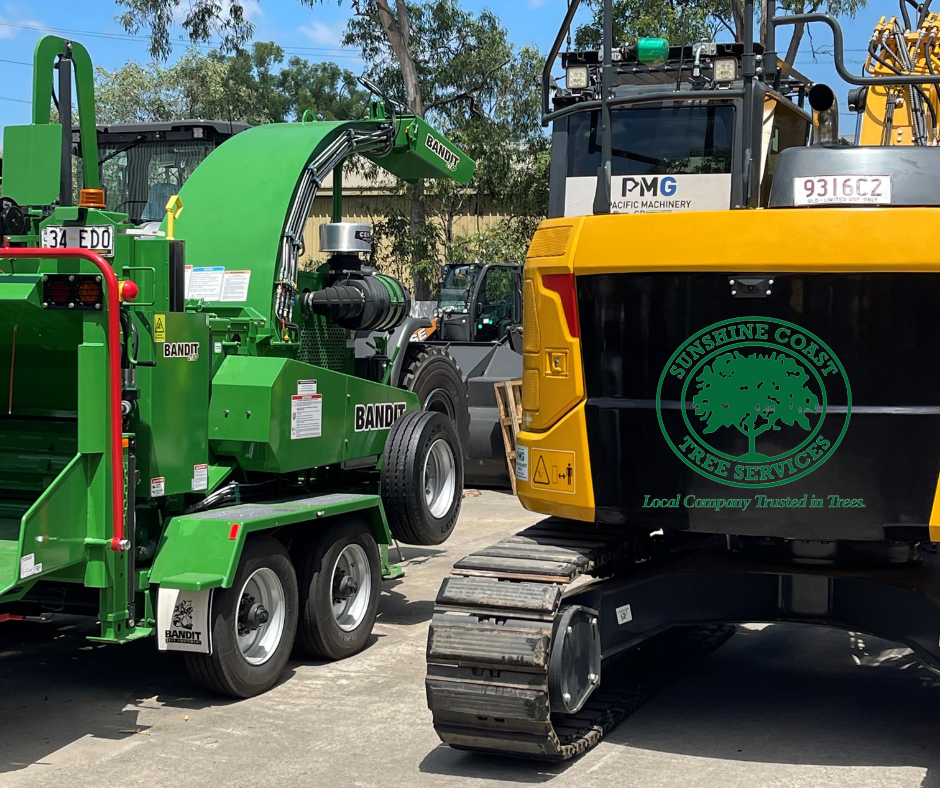 Sunshine Coast Tree Services | Tree Removal & Lopping | Arborist