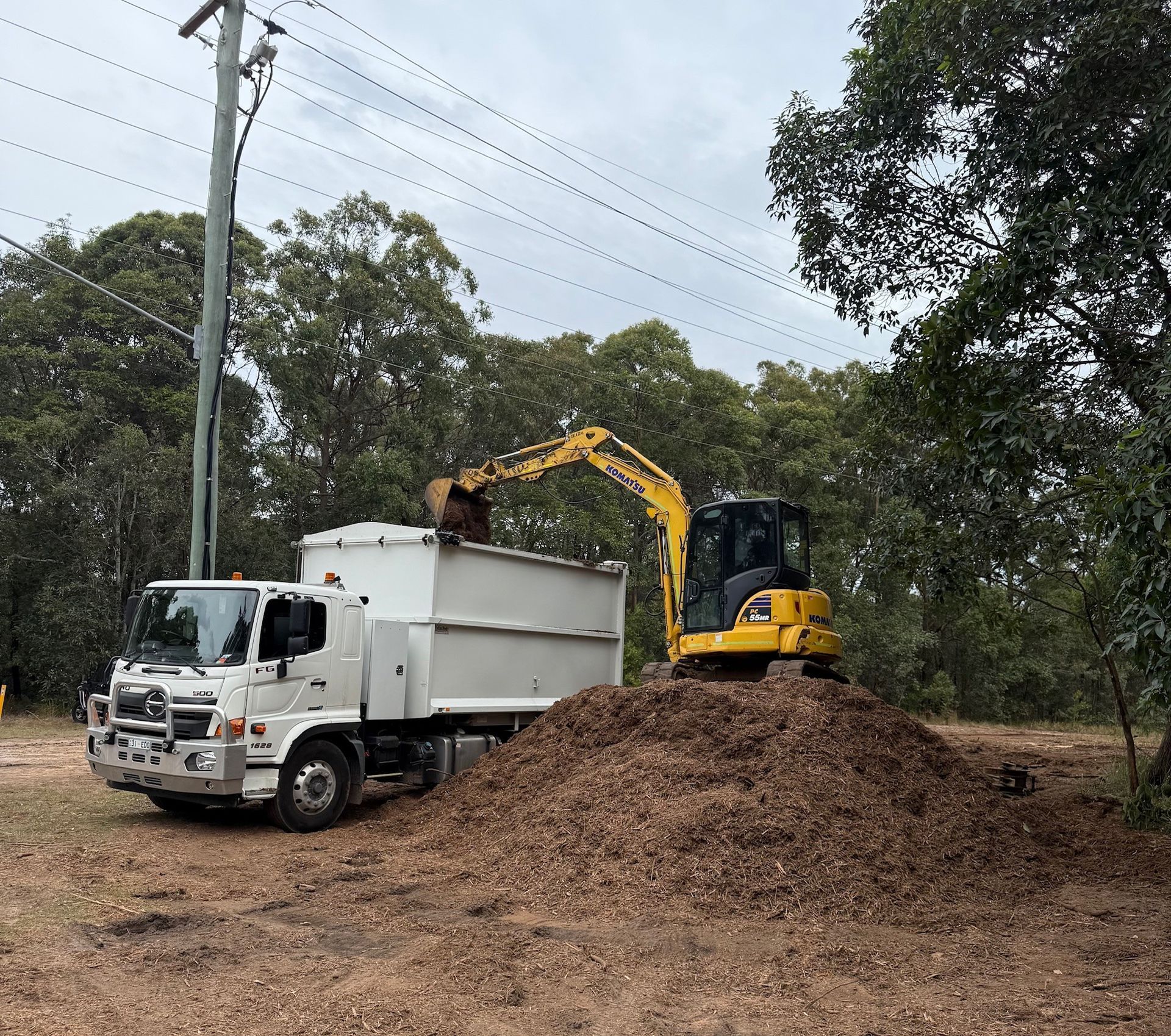 Land Clearing