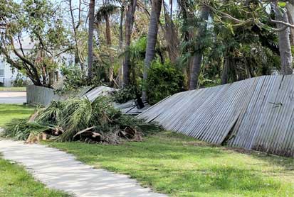 emergency tree removal
