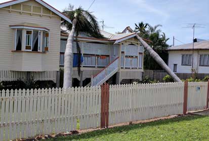 removing a fallen tree from a roof