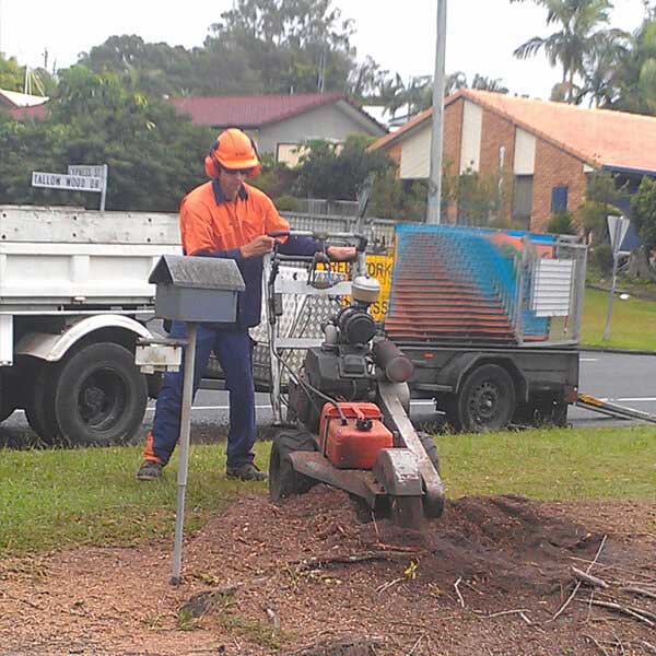 stump grinding sunshine coast