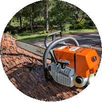 Tree-Trimming-Services-Sunshine-Coast