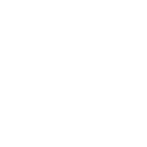 CAR LOGO