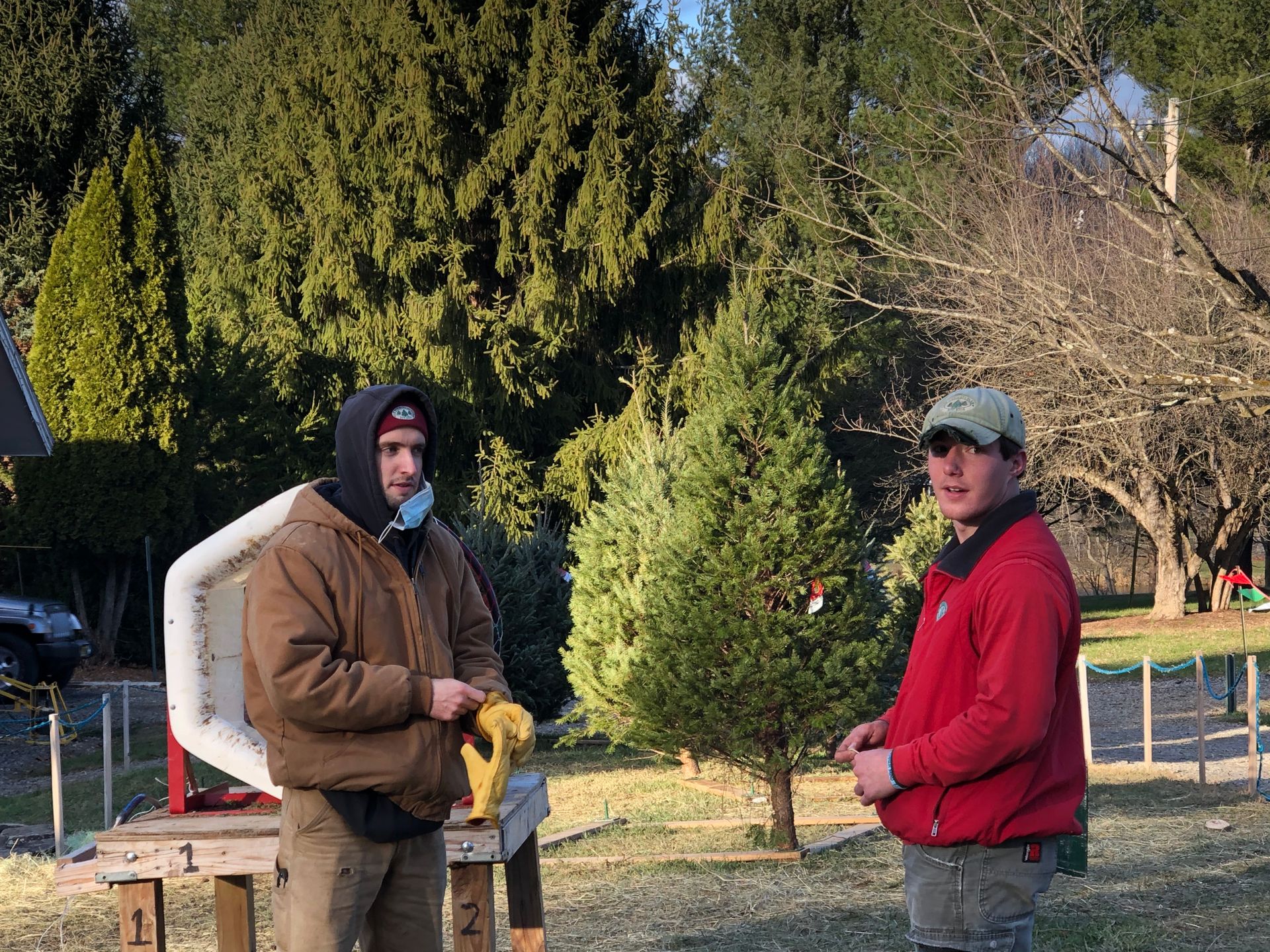 Christmas Tree Farm Team The Evergreen Farm