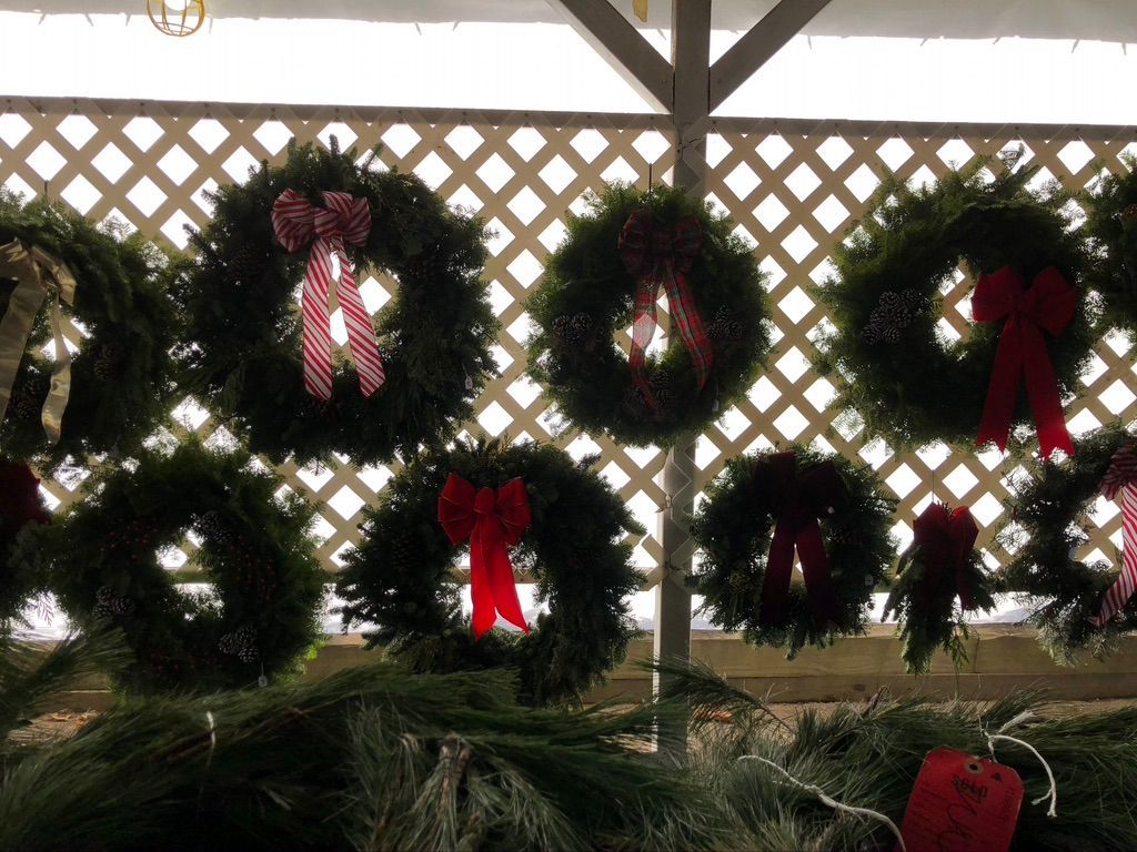 A christmas wreath with pine cones and a red and black checkered bow.
